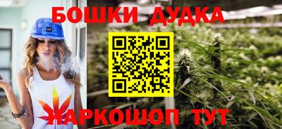 СК Обь