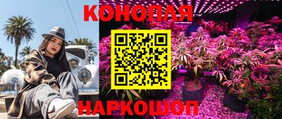 эйфоретик Обнинск