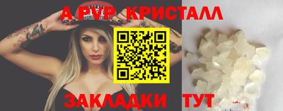 СК Обь