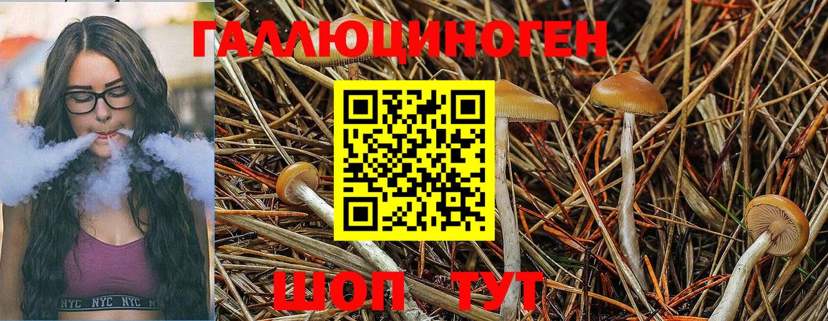 Псилоцибиновые грибы Magic Shrooms Семёнов